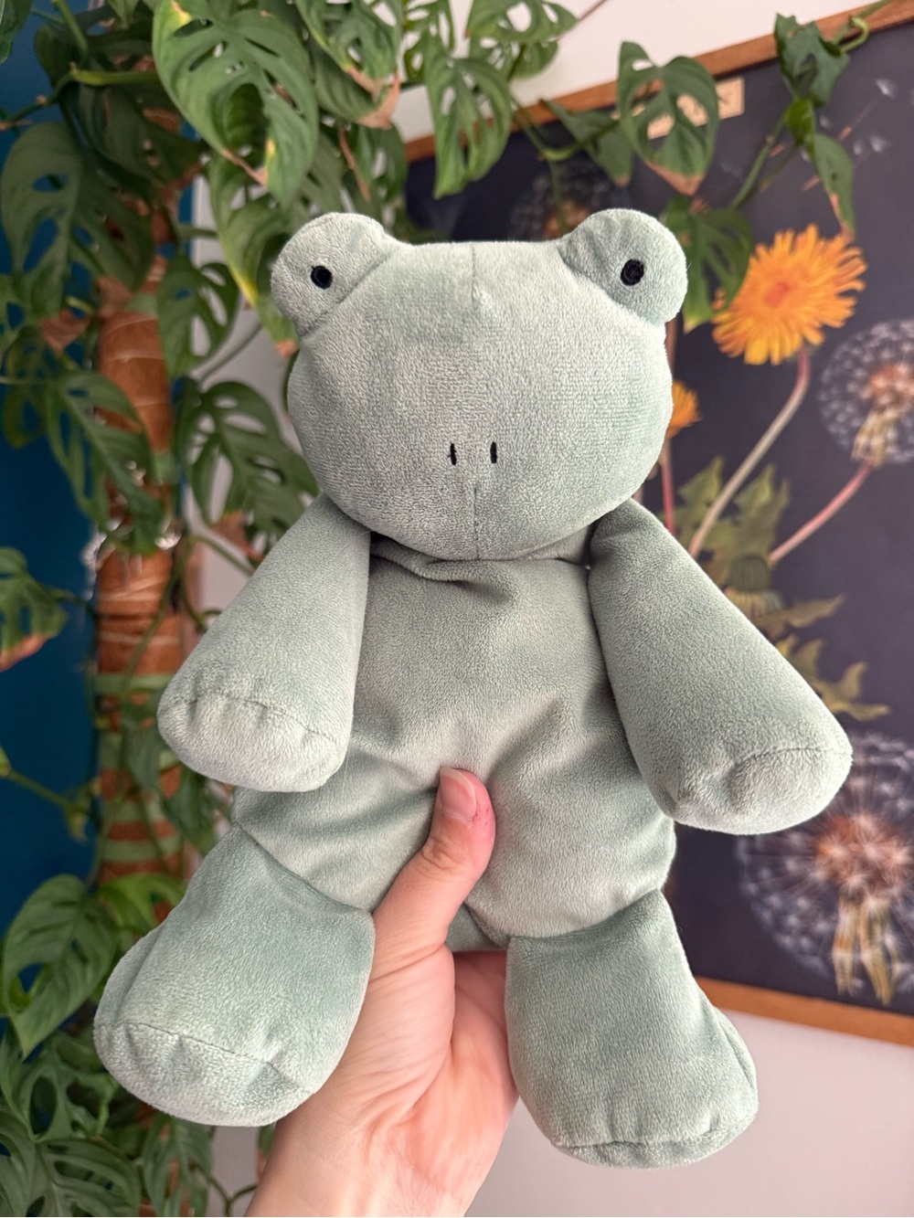 Rare Jellycat Dozydou Frog - RETIRED